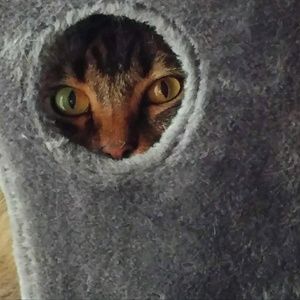 Meet your Posher, Sara